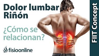 Riñón y dolor de espalda en la zona lumbar  ¿Cómo se relacionan [upl. by Spark]