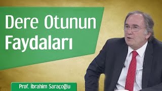 Dere Otunun Faydaları  Prof İbrahim Saraçoğlu [upl. by Eiramlehcar]