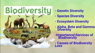 biodiversity its types alpha beta gamma diversity importance amp loss of biodiversity [upl. by Arrotal887]