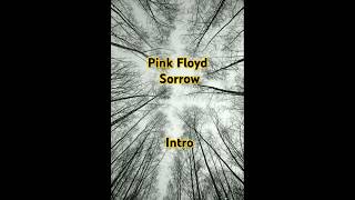 Pink Floyd  Sorrow Intro [upl. by Gove791]