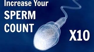 10 Food to Increase Your Sperm Count And Fertility [upl. by Humfried765]