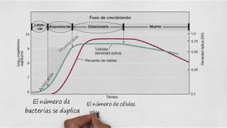 Crecimiento microbiano [upl. by Lyndy896]