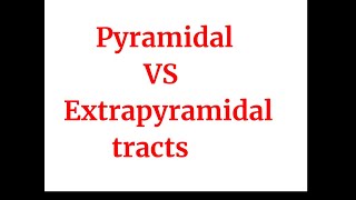 Pyramidal vs Extrapyramidal tracts [upl. by Valaria]