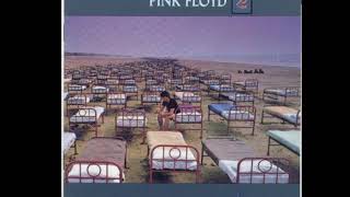 Pink Floyd  Sorrow backing track with vocals [upl. by Notlek534]