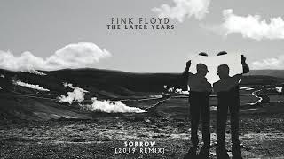 Pink Floyd  Sorrow 2019 Remix [upl. by Itagaki]