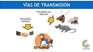 Microbiología de los Alimentos Parte 1 [upl. by Nulubez]