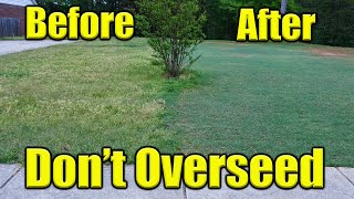 Overseeding Bermuda Lawn [upl. by Imalda]