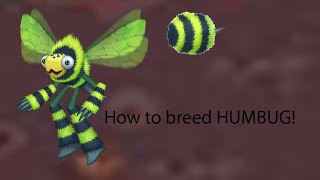 How to breed HUMBUG in my singing monsters [upl. by Ynamrej]