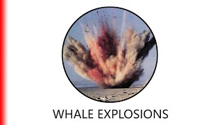 WHALE EXPLOSIONS [upl. by Kobi]