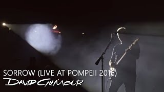 David Gilmour  Sorrow Live At Pompeii [upl. by Ynafit877]