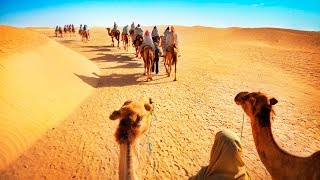 Camel Safari with Dinner and Emirati Activities in Dubai UAE [upl. by Irpak]