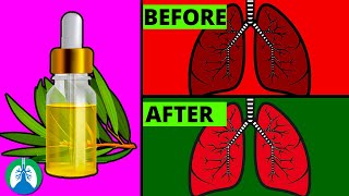 How to Cleanse Your Lungs with Tea Tree Oil [upl. by Yak]