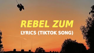 Zum  Rebel Lyrics TikTok song Shenseea [upl. by Ricki79]