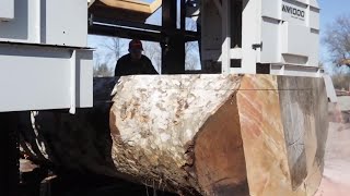 WM1000 Industrial Sawmill in Action  WoodMizer [upl. by Fancie]