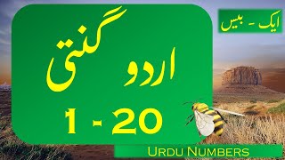 Urdu Counting 120  Urdu mein Ginti 1 se 20 tak  اردو میں گنتی ایک سے بیس تک [upl. by Eirruc657]