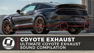 Ultimate Coyote Exhaust Sound Compilation [upl. by Hollister]