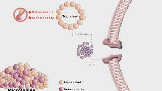 Mebendazole And Albendazole [upl. by Alius]