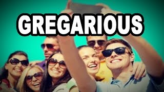 Learn English Words GREGARIOUS  Meaning Vocabulary with Pictures and Examples [upl. by Bondon148]