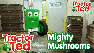 Big Machines 🚜  Tractor Ted Shorts  Tractor Ted Official Channel [upl. by Znerol938]