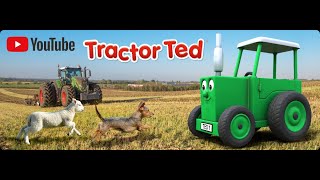 Down on the Farm with Tractor Ted  Making Haylage [upl. by Neysa]