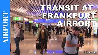 TRANSIT WALK AT FRANKFURT Airport FRA Terminal 1  Connection Flight Transfer Arriving amp Departing [upl. by Vil]