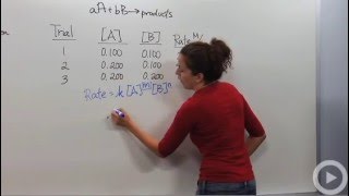 Reaction Rate Laws [upl. by Frerichs]