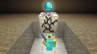 I Stole Minecrafts Rarest Diamond [upl. by Acimot]