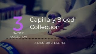 Capillary Blood Collection [upl. by Suruat818]