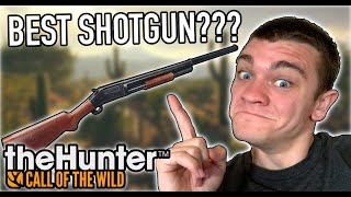 BEST SHOTGUN IN THE GAME Hunter Call of the Wild Ep35  Kendall Gray [upl. by Kenleigh450]